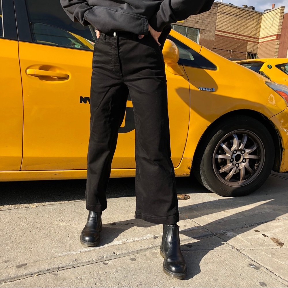 Everlane Wide Leg Crop Pants